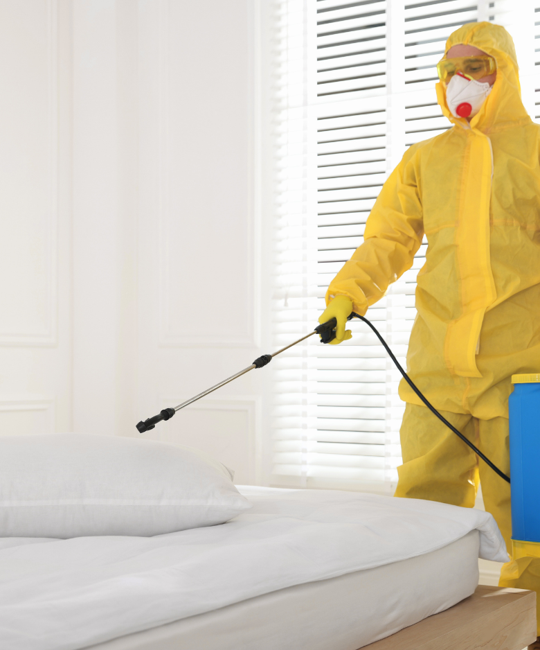 Professional Pest Control Team in Clearview